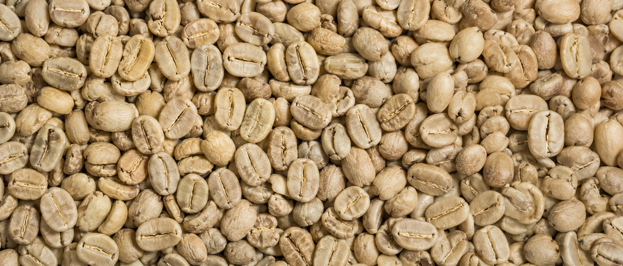 Your Coffee Is Only as Strong as Your Supply Chain
