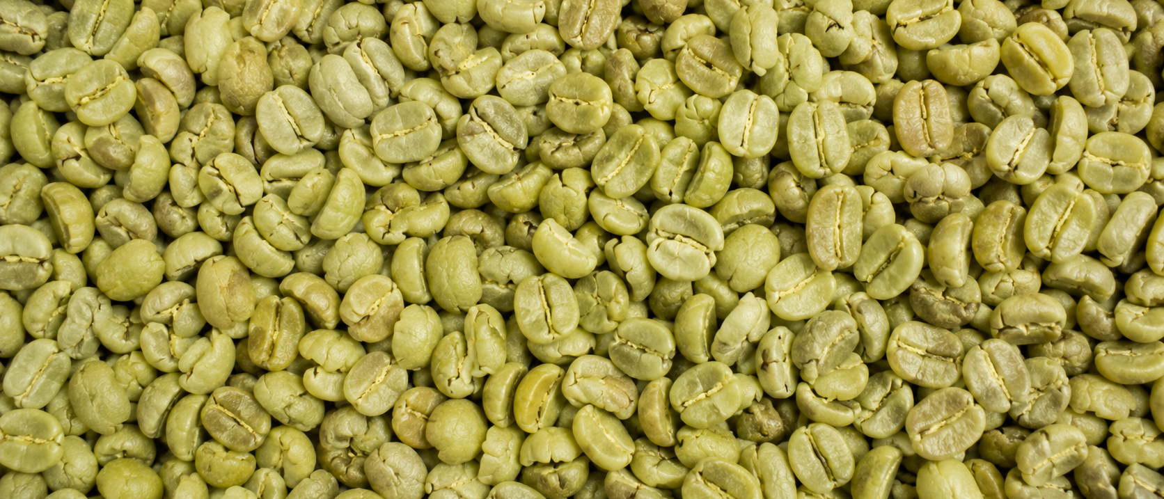 Greater East African & Global Coffee, Delivered with Confidence