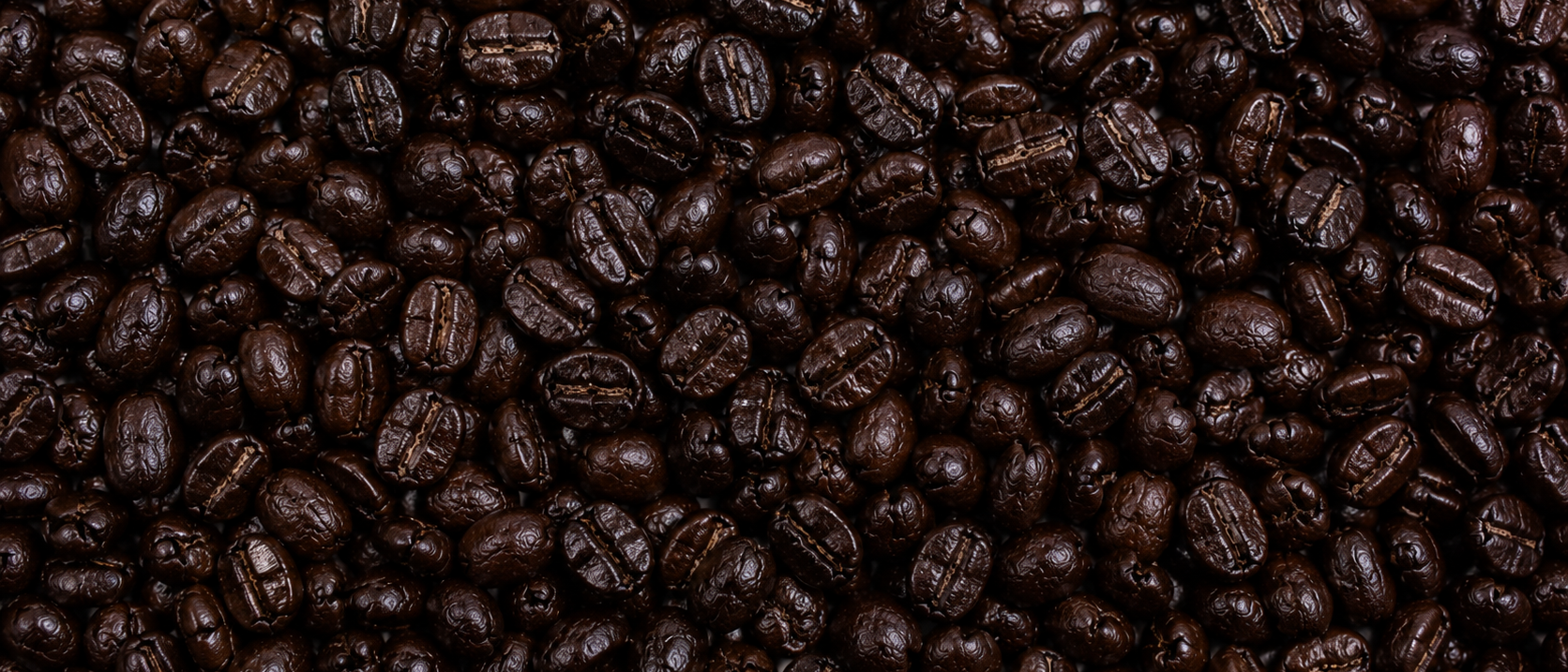 Quality Coffee Supply for Coffee Businesses