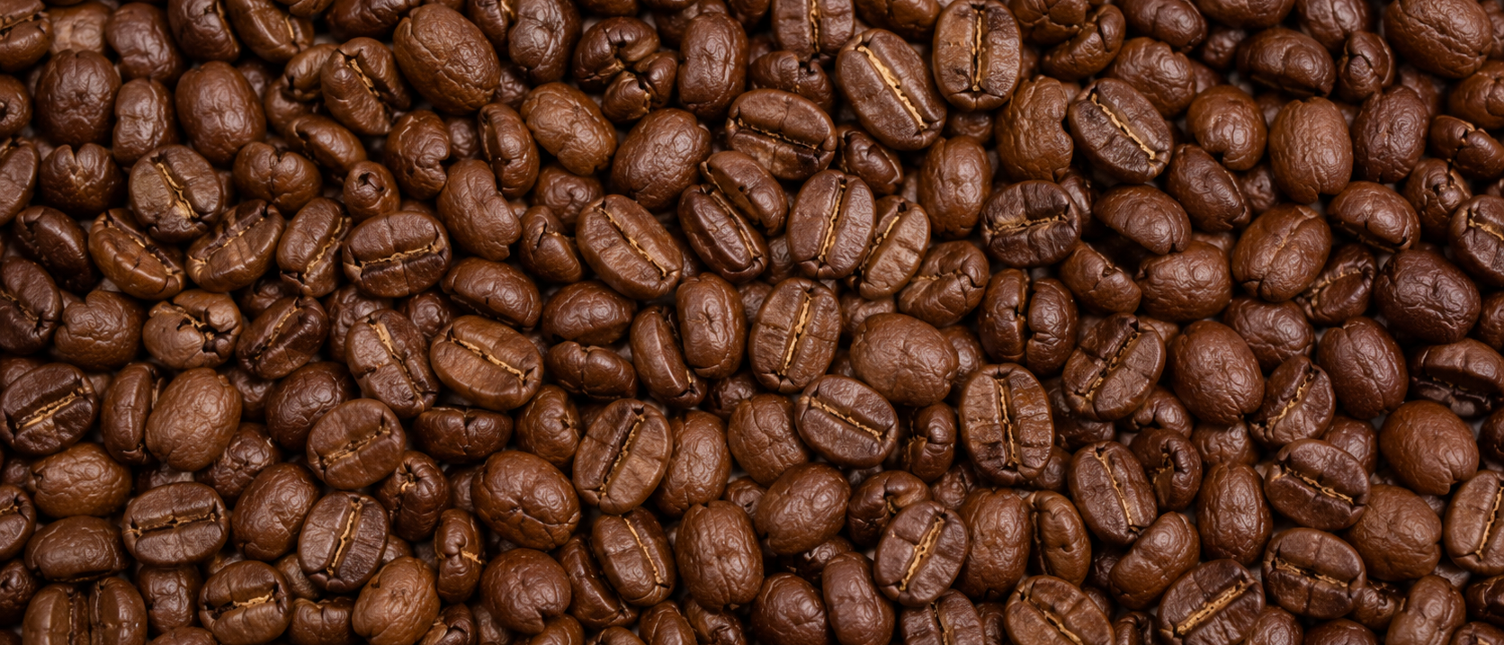 Premium Coffee Beans, Sourced with Purpose